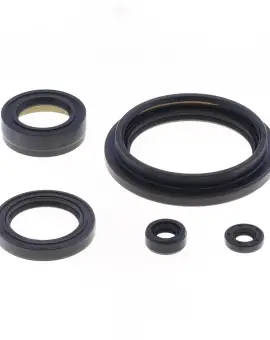 Serie Paraolio Motor