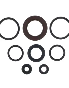 Serie Paraolio Motor