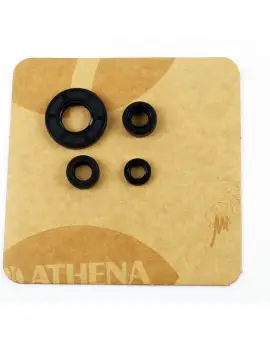 Serie Paraolio Motor