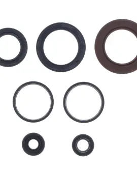 Serie Paraolio Motor