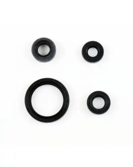 Serie Paraolio Motor