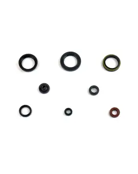 Serie Paraolio Motor
