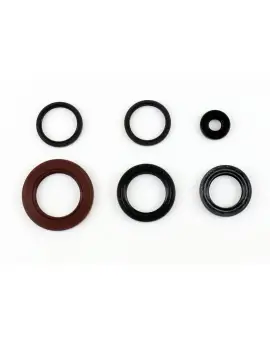 Serie Paraolio Motor