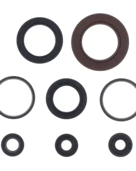Serie Paraolio Motor