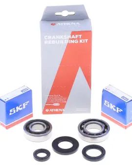 Kit Revisione Albero