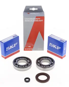 Kit Revisione Albero