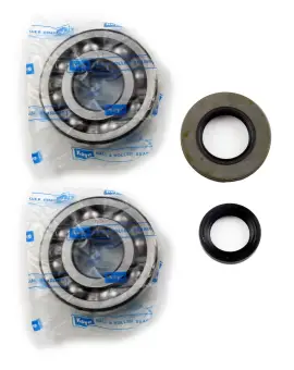 Kit Revisione Albero