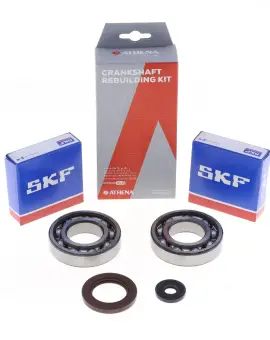 Kit Revisione Albero