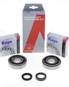 Kit Revisione Albero