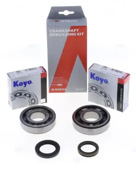 Kit Revisione Albero