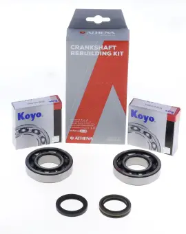 Kit Revisione Albero