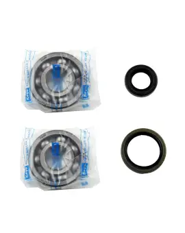 Kit Revisione Albero