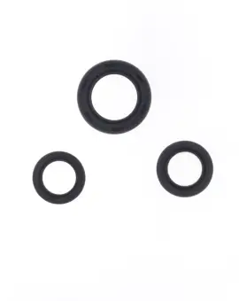 Serie Paraolio Motor