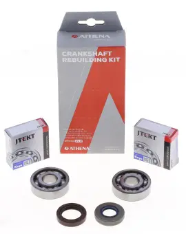 Kit Revisione Albero