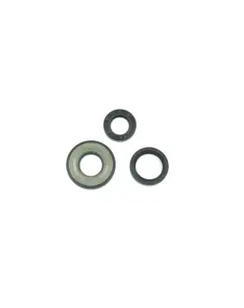 Serie Paraolio Motor