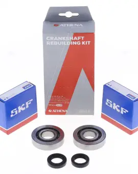 Kit Revisione Albero