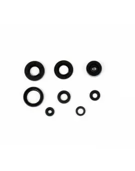 Serie Paraolio Motor