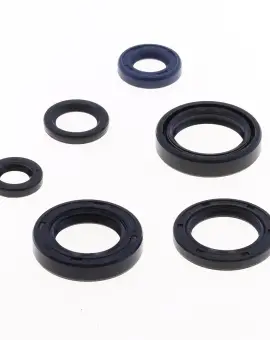 Serie Paraolio Motor