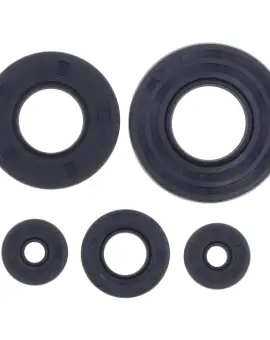 Serie Paraolio Motor