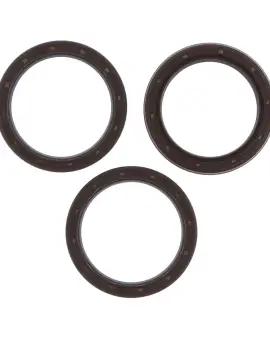 Serie Paraolio Motor