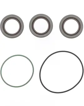 Serie Paraolio Motor