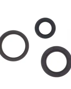 Serie Paraolio Motor