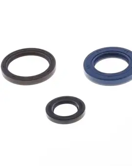 Serie Paraolio Motor