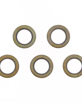 Kit Paraolio 19x28,5