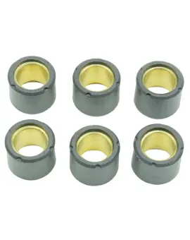 Kit 6 Rulli Variator