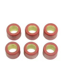 Kit 6 Rulli Variator