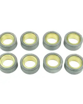 Kit 8 Rulli Variator