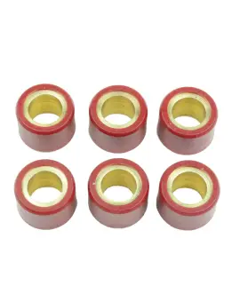 Kit 6 Rulli Variator