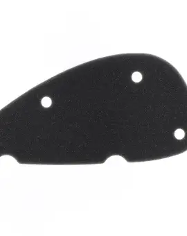 Filtro Aria per moto