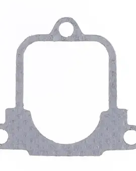 Guarnizione Scarico