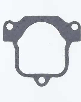 Guarnizione Scarico