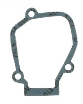 Guarnizione Coperchi