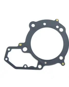 Guarnizione Testata