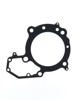 Guarnizione Testata