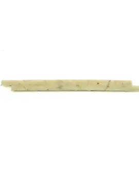 S410068121003